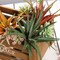 Set of 3 12" tall Assorted Aloe Faux Succulent Picks Sprays Stems Wedding Party